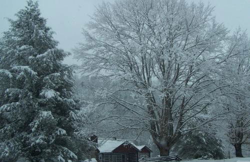 Historic cabin off I-77, views, antiques, Wi-fi, wonderful experience for 2! - Foto 35