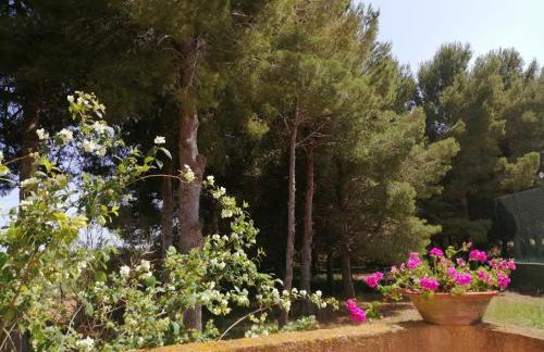 Villa Parra - Foto 7