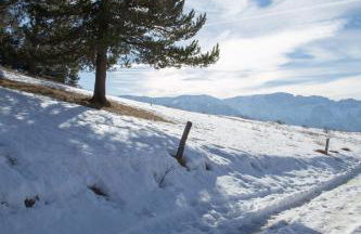 Gites L'épilobe - Foto 16