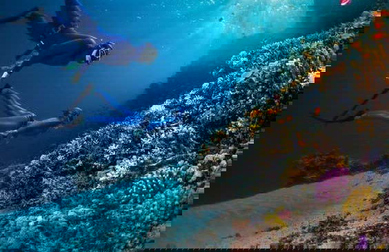 Snorkel en Sharm El Luli y Wadi El Qulaan - Foto 3