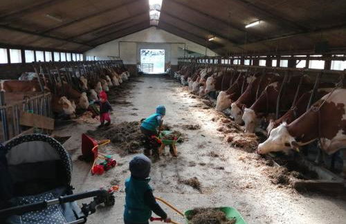 Ferienhof Schmalzgrub - Foto 7