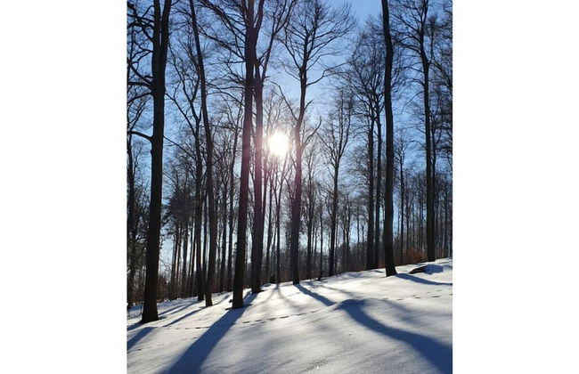 Holiday Home Chalet on the Castle Hill - Foto 15