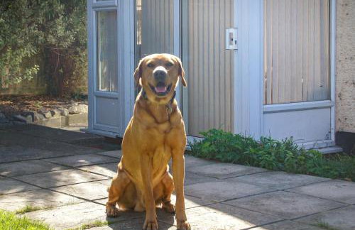 2 Bed in Middlezoy oc-s33601 - Foto 16