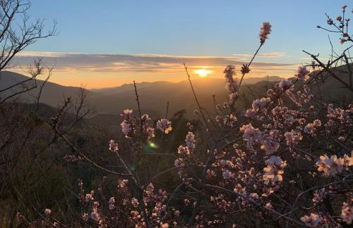 Finca Las Fuentezuelas - Foto 52