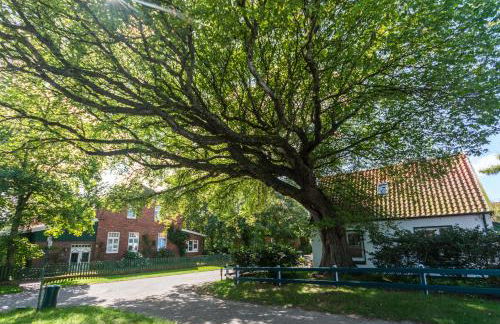 Arche Svea Kiebitz - Foto 19