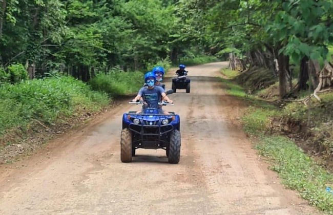 Container w Pool Backyard Parking BBQ Kitchen More in Playa Potrero - Photo 42