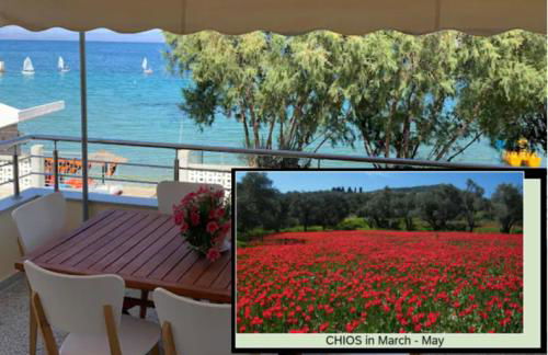 Blue Flag Award Winning Beach: Home 2 - Foto 1