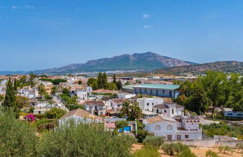 Casa De Campo en Coín - Photo 23