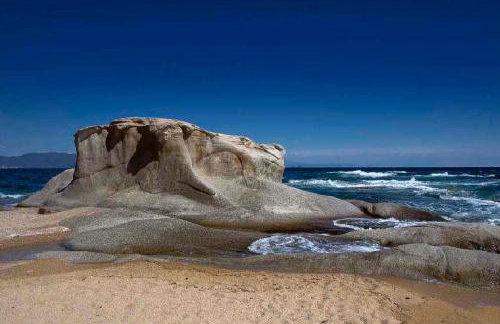 ΚΟΧΥΛΙ - Foto 3