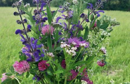 Eden - Mas de Rousseau - Foto 23