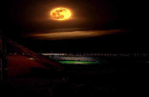 New Olivka House - Foto 42