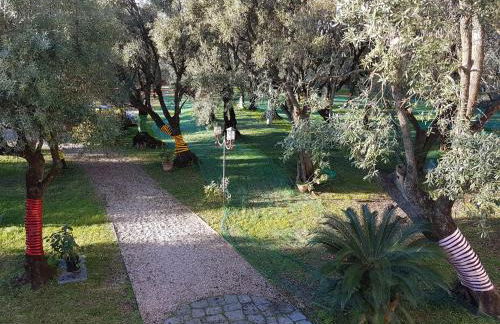 Antico Uliveto - Foto 44