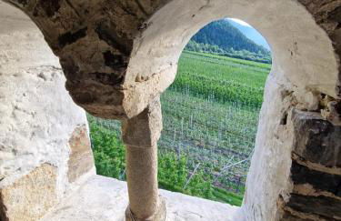 Ferienwohnungen JoJaSa - Foto 31