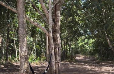 Rancho do Guila Pesca & Diversão Corumbá 3 - Foto 8