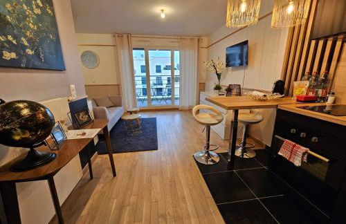 Biron deluxe studio flea market of Paris, porte de Montmartre - Foto 6