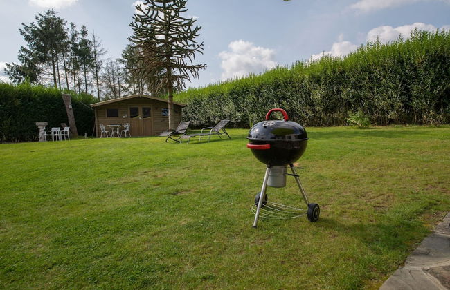The Waltz of the Chickadees in Somme Leuze - Foto 14