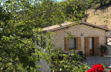 Agriturismo Pettino - Foto 58