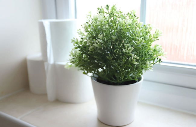 Easy Travel Luxury NEC Airport - Foto 21