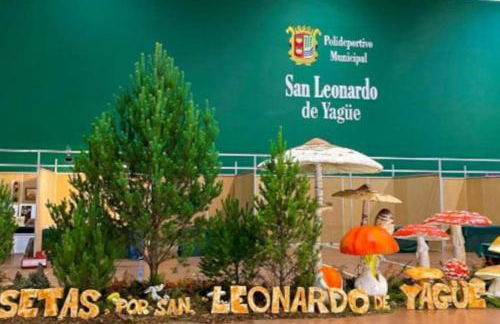 El descanso de las hadas - Foto 23