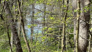 Retreat on Lake Milton - Foto 5