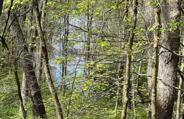 Retreat on Lake Milton - Foto 5