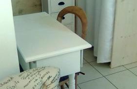 Les Maharanis - Foto 17