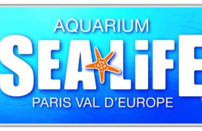 Disney, sunny comfortable 2 bedrooms family apartment, 8 pers, wifi, NETFLIX - Foto 39