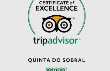 Quinta Do Sobral - Foto 21