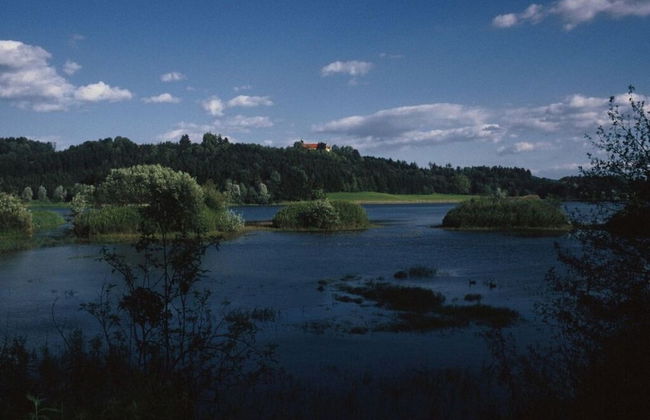 Aurelia - Gut Hornegg - Foto 14