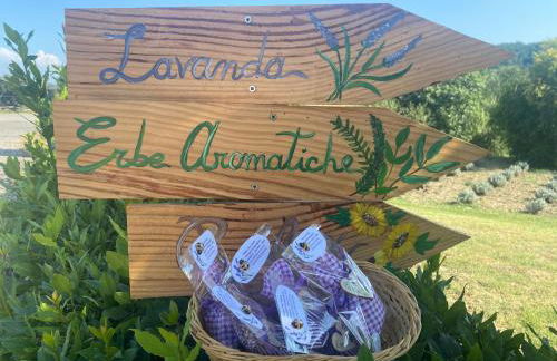 Casa Vacanze Podere San Giusto Volterra - Foto 40