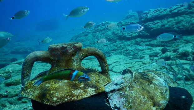 Conhecendo o fundo do mar do norte de Creta