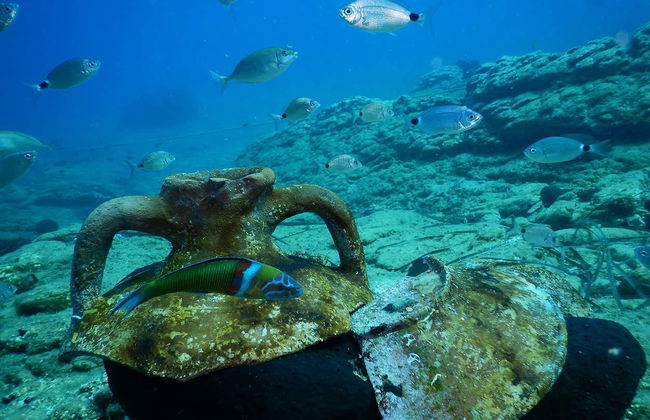 Immersione per principianti ad Agia Pelagia - Foto 5