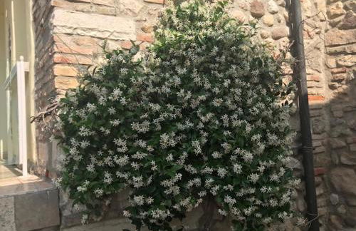 Il Ghetto Farm Holiday - Foto 47