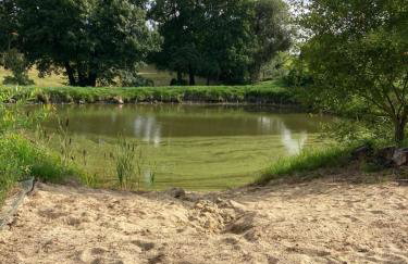 Domek Samice - Foto 65