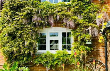 Little Woodside a beautiful New Forest self contained private luxury annexe - Foto 27