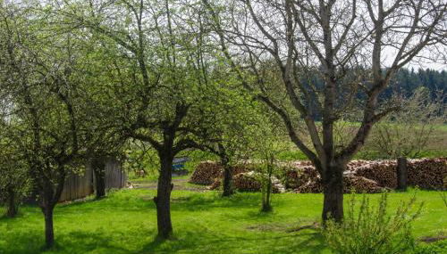 Ferienwohnung Kobelsberg - Foto 5, Garden