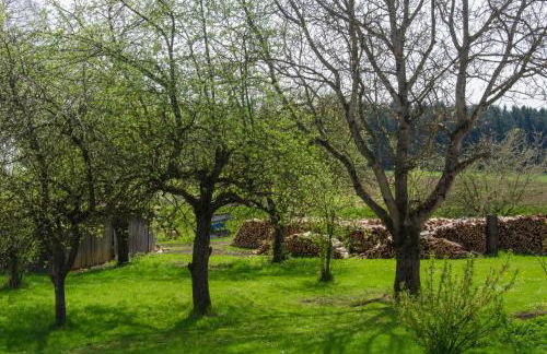 Ferienwohnung Kobelsberg - Foto 5