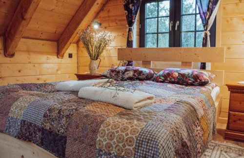 Mysia Nora - Photo 13