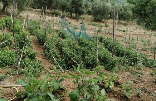 Agriturismo Gli Antichi Sapori - con stazione di ricarica veicoli elettrici - Foto 40