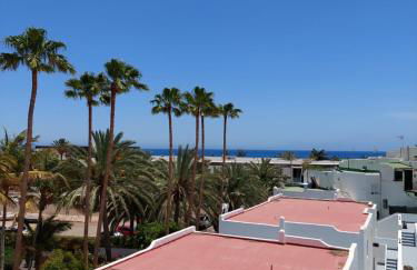 Arena Negra - Photo 24