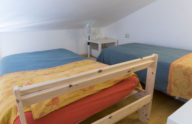 Viola nel Parco - Foto 19