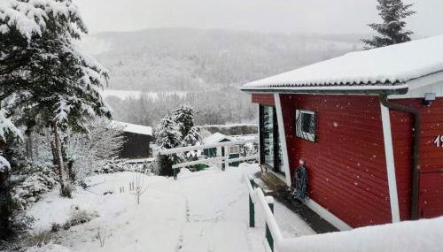 Ferienhaus Bergblick Urlaub mit Hund - Foto 4