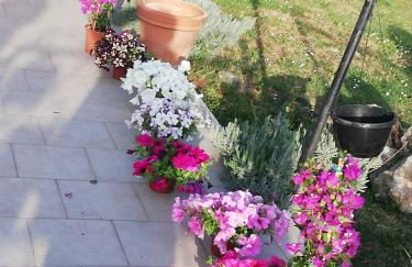 La casetta di samba - Foto 7