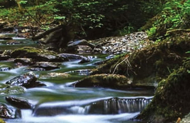 Ferienhaus Zum Unneschmitz - Foto 38