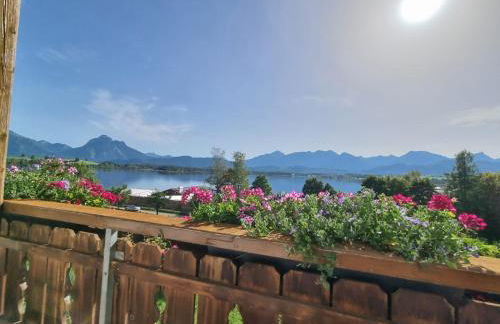 Landhaus Amberg Hopfen am See // Hopfensee // Füssen - Foto 6