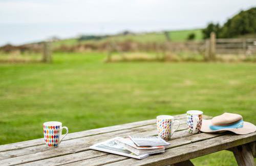 Dolphin Lodge - Photo 22