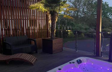 Villa Klimontów - Foto 2