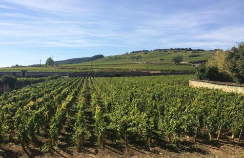 La Maison des Rugiens - Foto 18