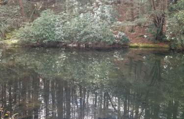 Serenity and Fun all in one in this Cozy Pocono Cabin - Foto 65