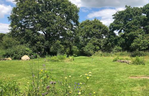 L'océan à la campagne - Foto 14